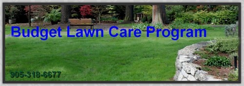 Budget Lawn Care Program from Turf King